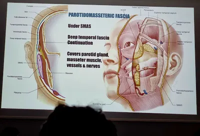 Skin-City dr n. med. Elżbieta Meszyńska (dawniej El-DERM)